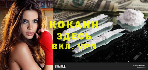 твердый Горно-Алтайск