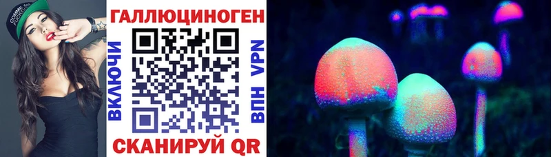 Галлюциногенные грибы MAGIC MUSHROOMS  Купить  Апшеронск 